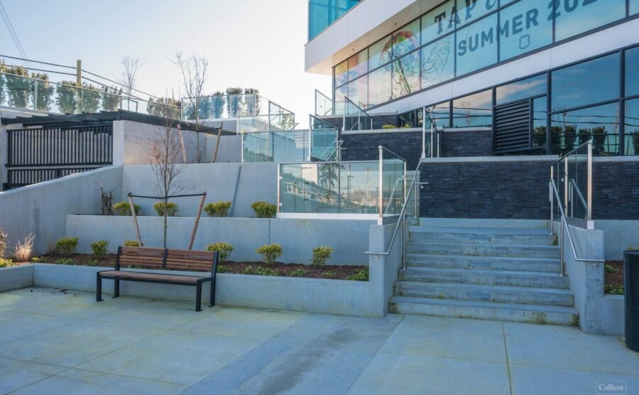 The Professional Centre