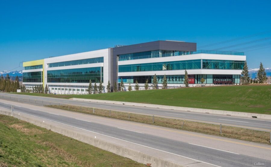 The Professional Centre